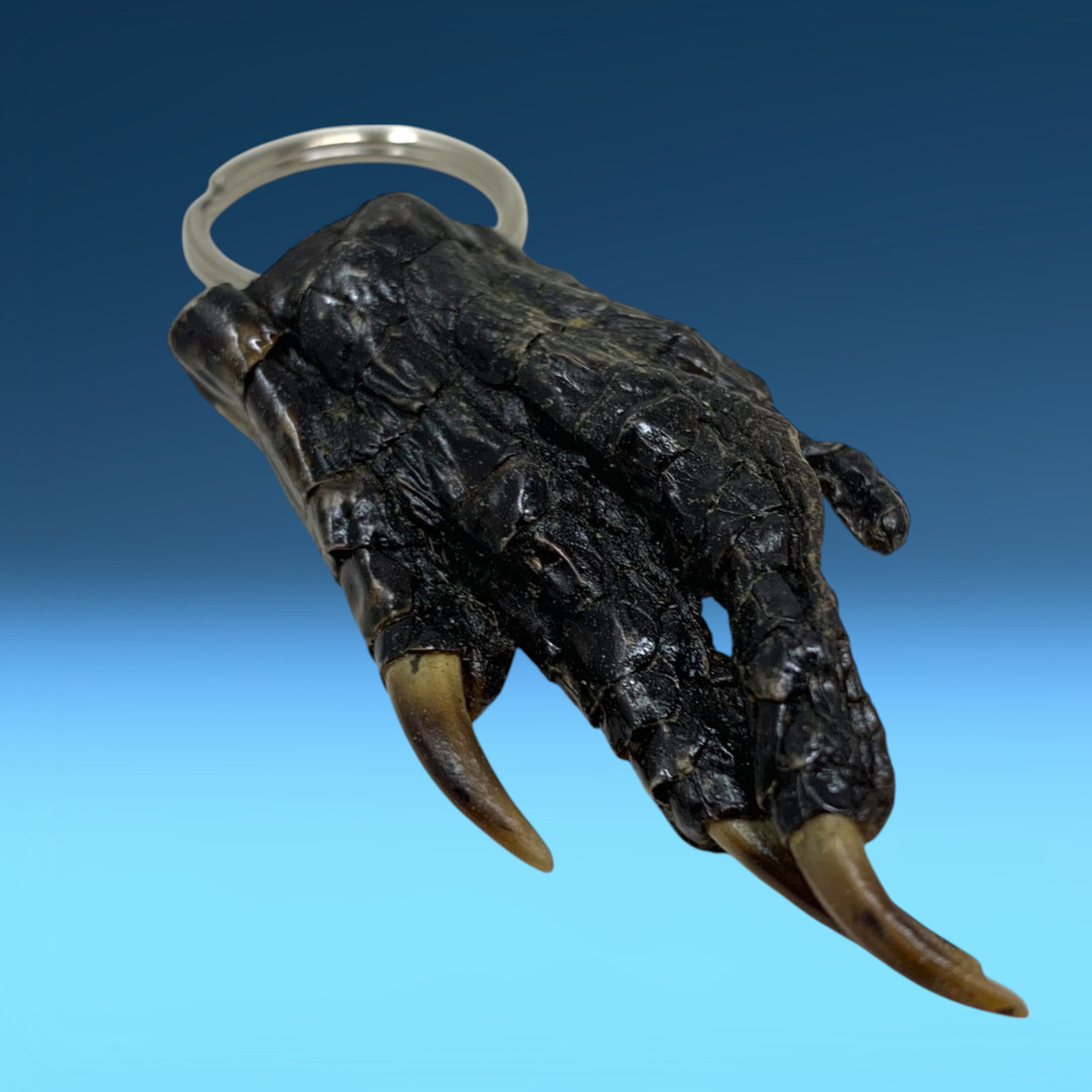 Vintage Alligator Gator Claw Keyring Souvenir Weird Novelty Taxidermy